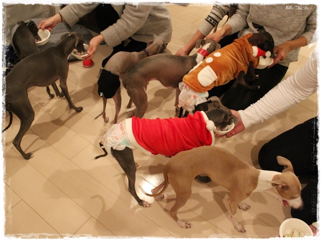 f:id:gino-ig:20161226232835j:plain f:id:gino-ig:20161226232835j:plain