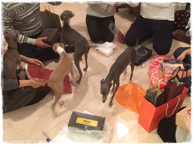 f:id:gino-ig:20161226233612j:plain f:id:gino-ig:20161226233612j:plain