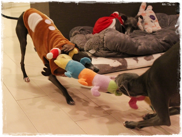 f:id:gino-ig:20161226234823j:plain f:id:gino-ig:20161226234823j:plain