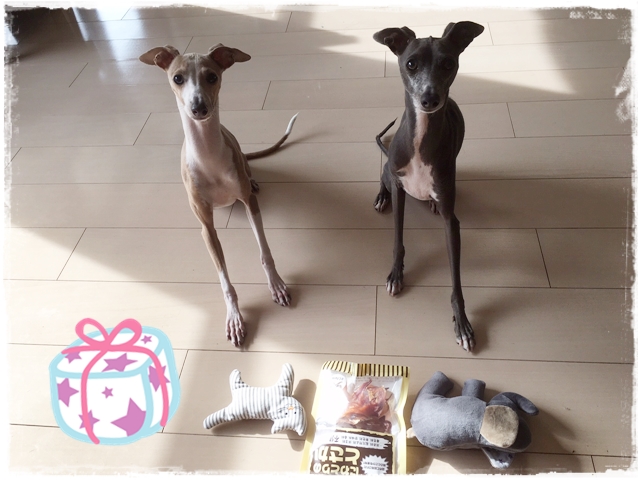 f:id:gino-ig:20161226235651j:plain f:id:gino-ig:20161226235651j:plain