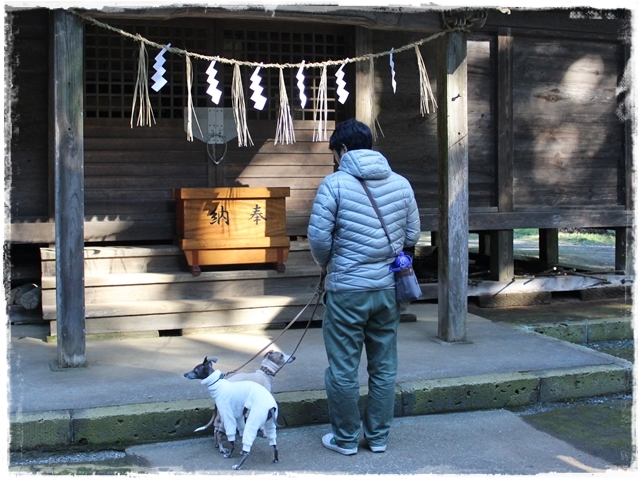 f:id:gino-ig:20170102230956j:plain f:id:gino-ig:20170102230956j:plain