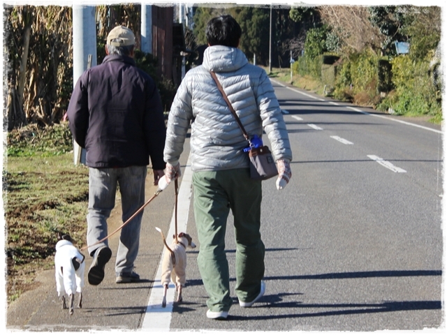 f:id:gino-ig:20170102231007j:plain f:id:gino-ig:20170102231007j:plain