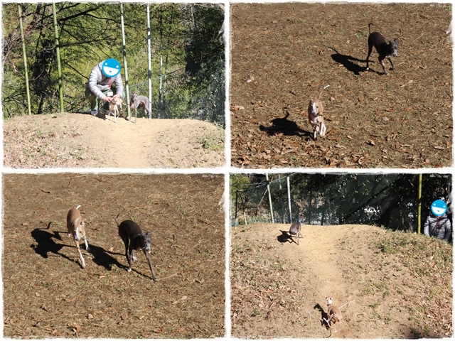 f:id:gino-ig:20170102232958j:plain f:id:gino-ig:20170102232958j:plain