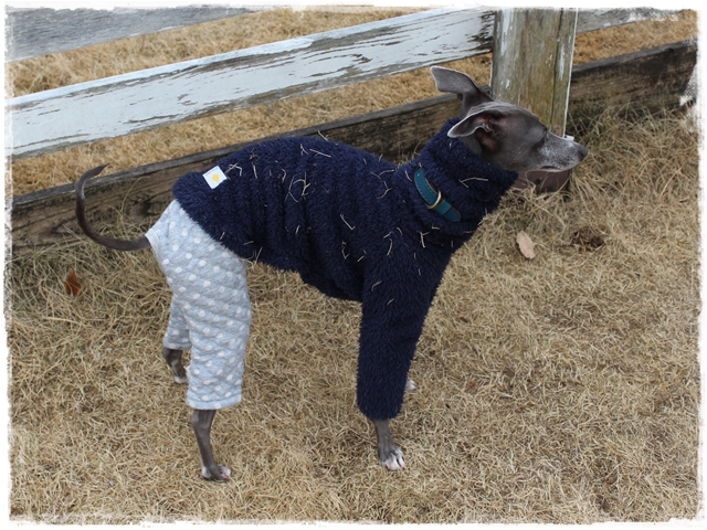 f:id:gino-ig:20170110232857j:plain