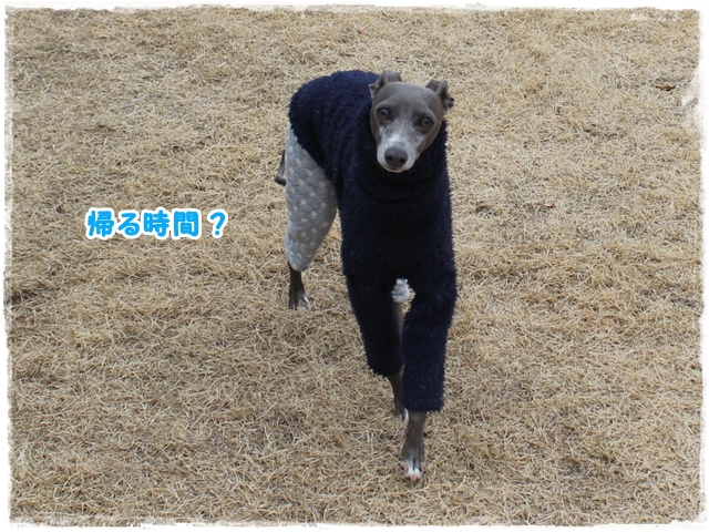 f:id:gino-ig:20170110233145j:plain