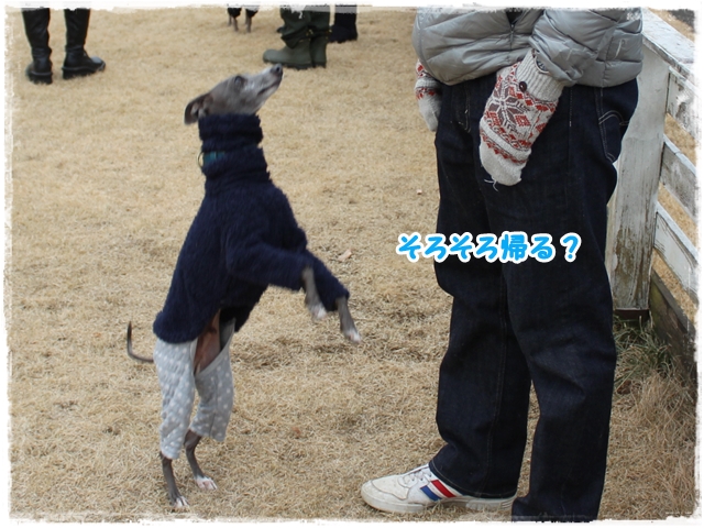 f:id:gino-ig:20170110233344j:plain