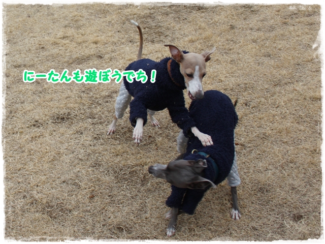 f:id:gino-ig:20170110233458j:plain