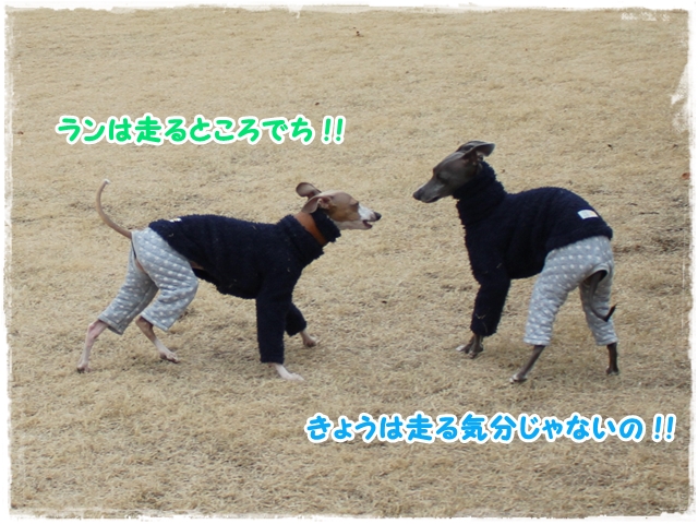 f:id:gino-ig:20170110233926j:plain