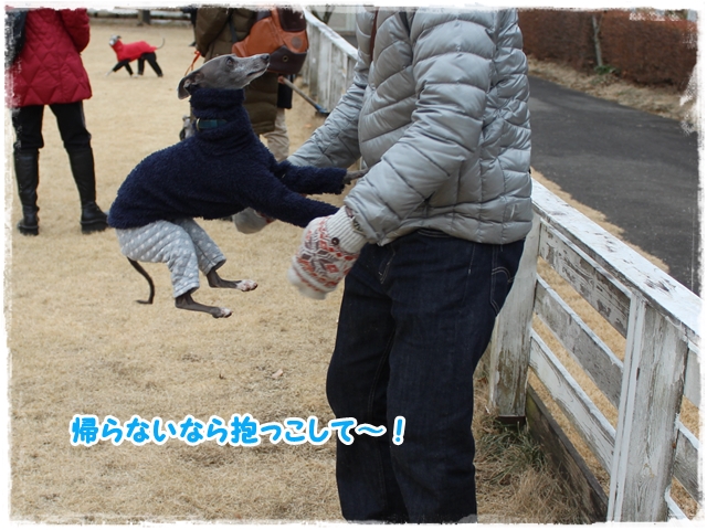 f:id:gino-ig:20170110234003j:plain