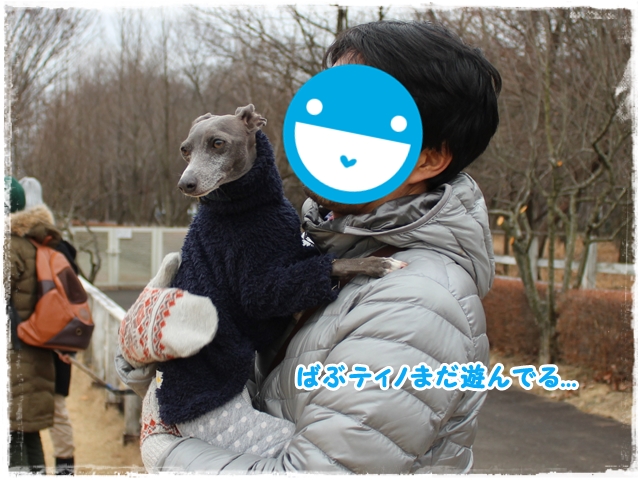 f:id:gino-ig:20170110234103j:plain