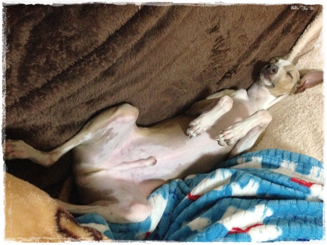 f:id:gino-ig:20170115000019j:plain