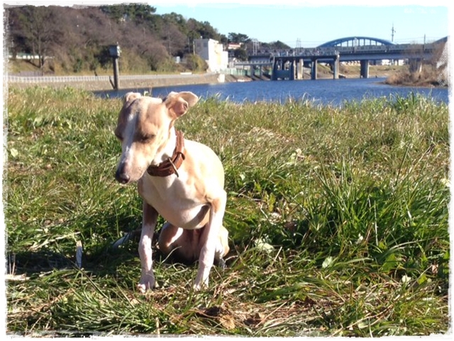 f:id:gino-ig:20170117223656j:plain