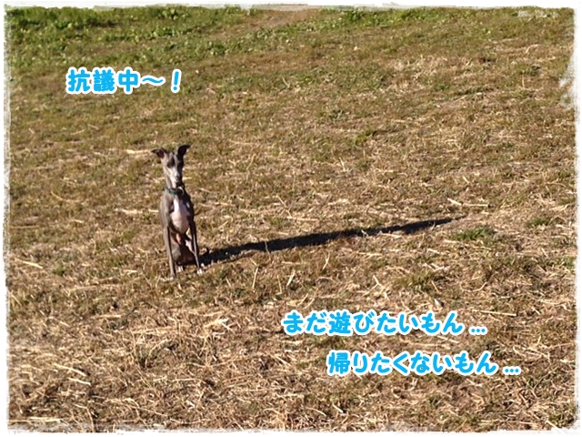 f:id:gino-ig:20170117225142j:plain