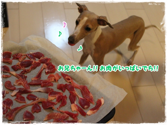 f:id:gino-ig:20170126230534j:plain f:id:gino-ig:20170126230534j:plain