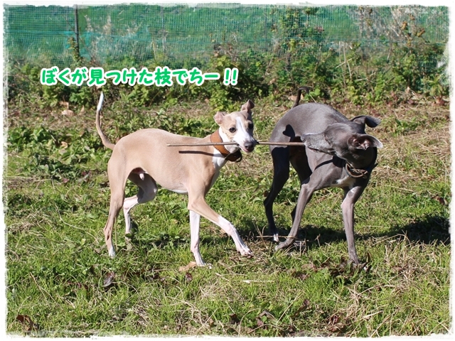 f:id:gino-ig:20170127230750j:plain f:id:gino-ig:20170127230750j:plain