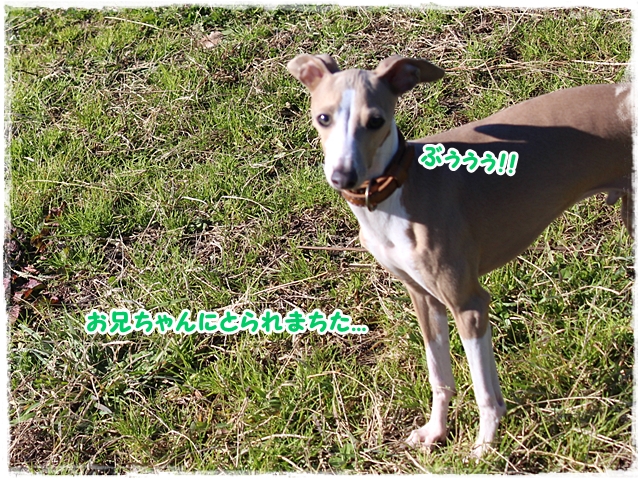 f:id:gino-ig:20170127230912j:plain f:id:gino-ig:20170127230912j:plain