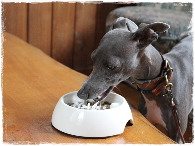 f:id:gino-ig:20170130212208j:plain