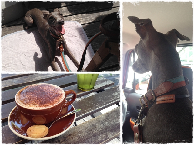 f:id:gino-ig:20170130212556j:plain