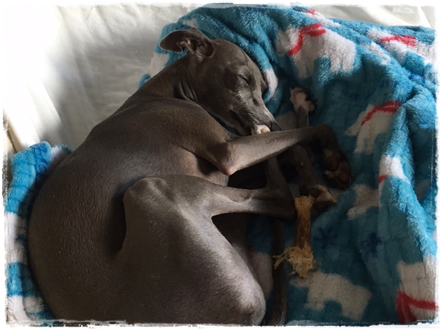 f:id:gino-ig:20170130221243j:plain