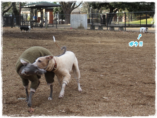 f:id:gino-ig:20170211224259j:plain