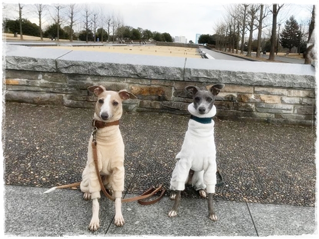 f:id:gino-ig:20170212225847j:plain