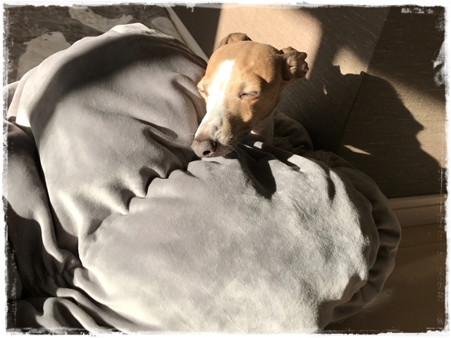 f:id:gino-ig:20170213230540j:plain f:id:gino-ig:20170213230540j:plain