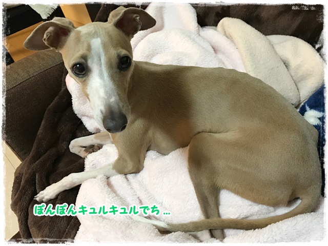 f:id:gino-ig:20170327224649j:plain f:id:gino-ig:20170327224649j:plain