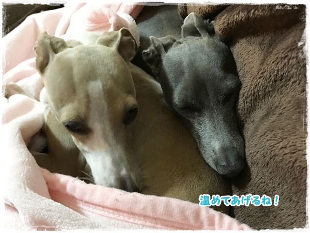 f:id:gino-ig:20170327224941j:plain f:id:gino-ig:20170327224941j:plain