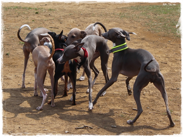 f:id:gino-ig:20170415205725j:plain