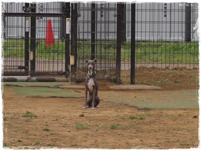 f:id:gino-ig:20170415210221j:plain