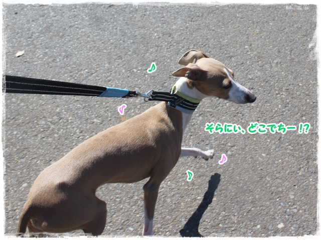 f:id:gino-ig:20170423222407j:plain