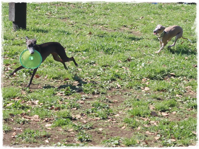 f:id:gino-ig:20170423223932j:plain