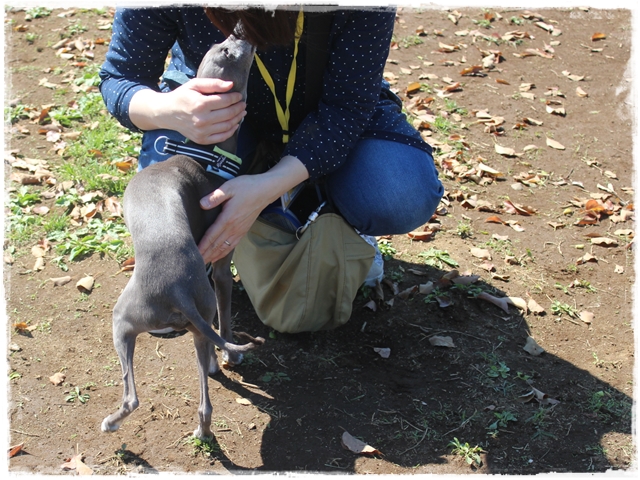 f:id:gino-ig:20170423224938j:plain