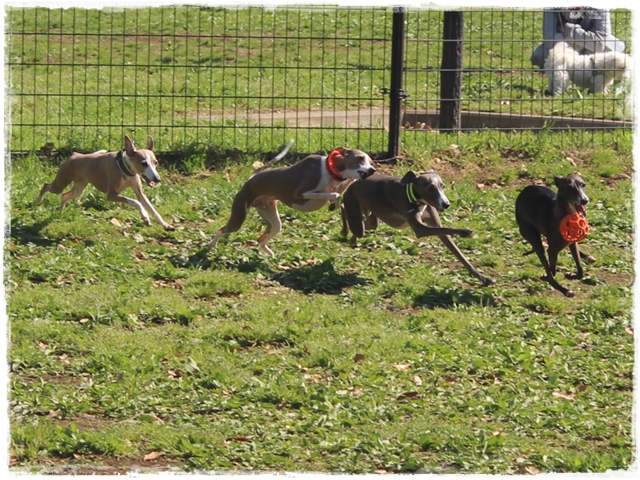 f:id:gino-ig:20170423225241j:plain