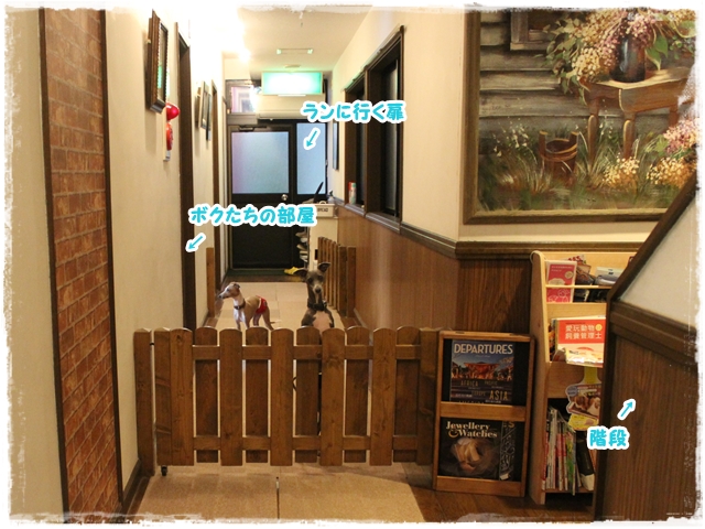 f:id:gino-ig:20170426224125j:plain