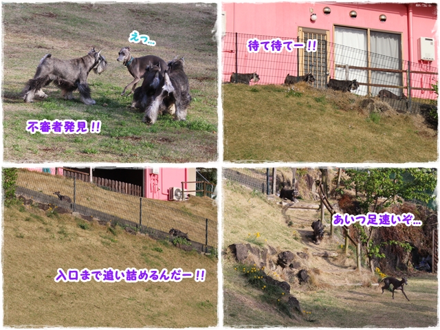 f:id:gino-ig:20170426225223j:plain