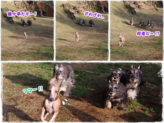 f:id:gino-ig:20170426225348j:plain