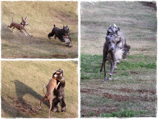 f:id:gino-ig:20170426225425j:plain