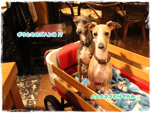 f:id:gino-ig:20170426225823j:plain