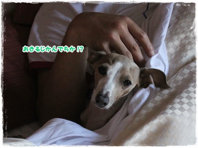 f:id:gino-ig:20170426230450j:plain