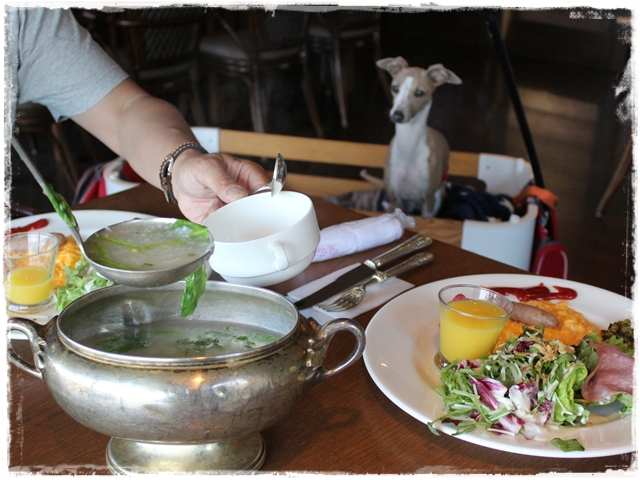 f:id:gino-ig:20170426230649j:plain