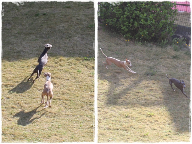 f:id:gino-ig:20170426233702j:plain