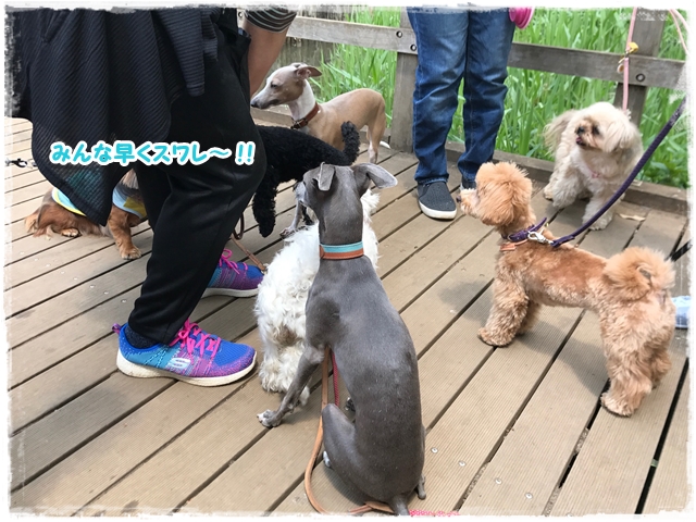 f:id:gino-ig:20170428221239j:plain f:id:gino-ig:20170428221239j:plain