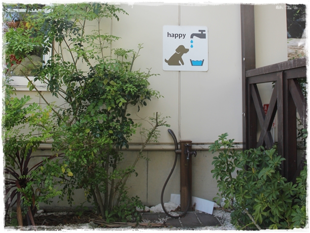 f:id:gino-ig:20170503224007j:plain