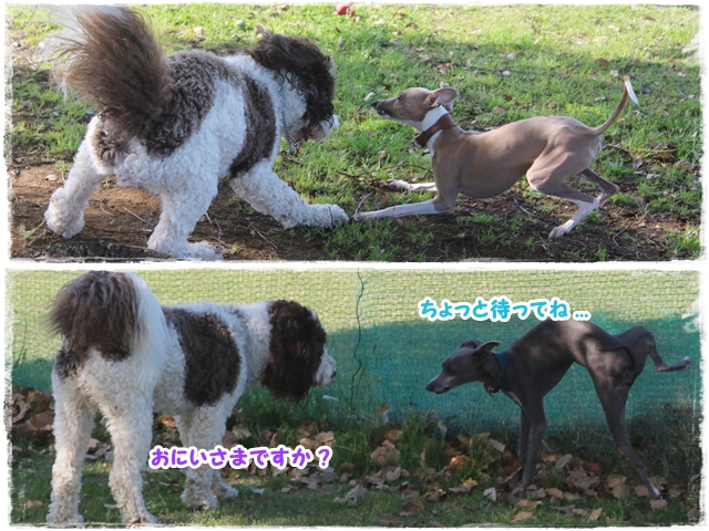 f:id:gino-ig:20170503230151j:plain