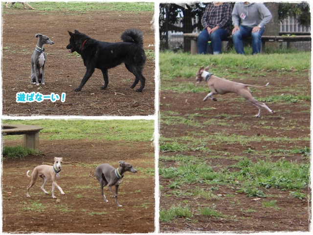 f:id:gino-ig:20170515234015j:plain