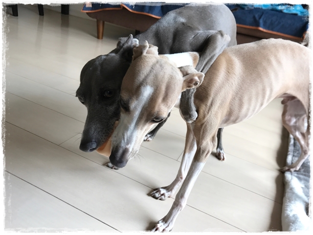 f:id:gino-ig:20170515234112j:plain