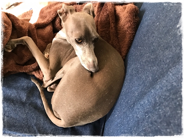 f:id:gino-ig:20170515234340j:plain