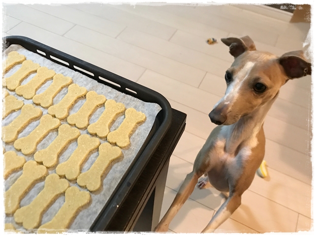 f:id:gino-ig:20170520000116j:plain