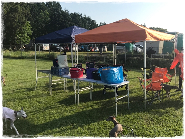 f:id:gino-ig:20170523221806j:plain